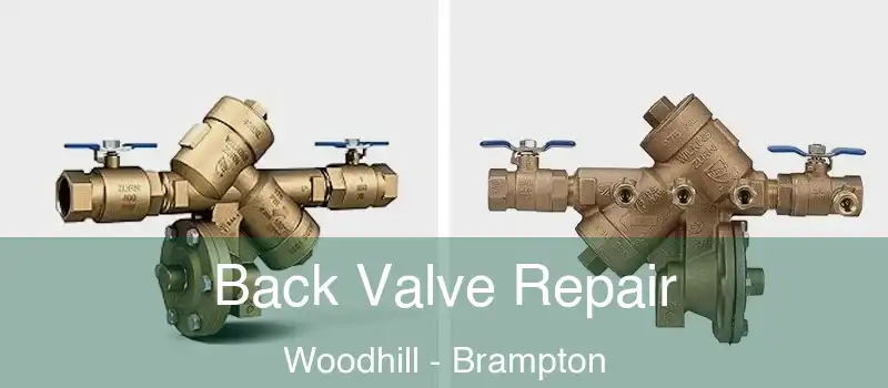  Back Valve Repair Woodhill - Brampton