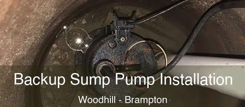  Backup Sump Pump Installation Woodhill - Brampton