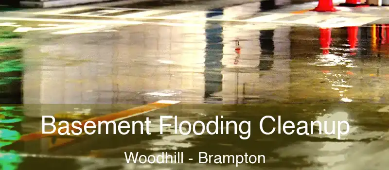  Basement Flooding Cleanup Woodhill - Brampton