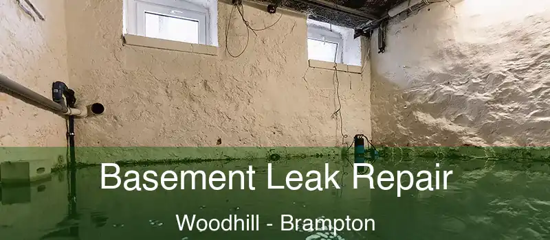  Basement Leak Repair Woodhill - Brampton