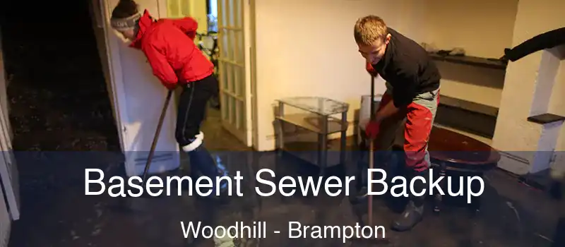  Basement Sewer Backup Woodhill - Brampton