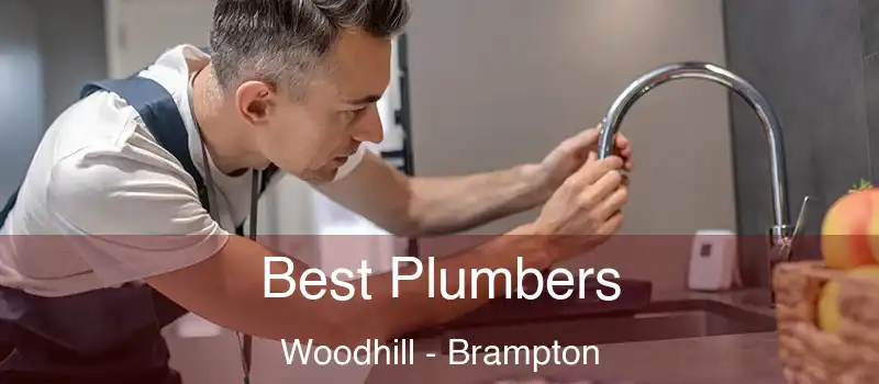 Best Plumbers Woodhill - Brampton