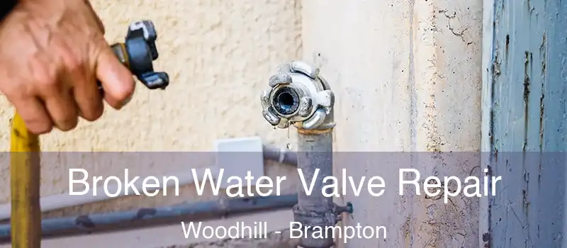  Broken Water Valve Repair Woodhill - Brampton