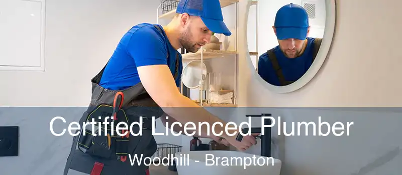  Certified Licenced Plumber Woodhill - Brampton