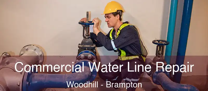  Commercial Water Line Repair Woodhill - Brampton