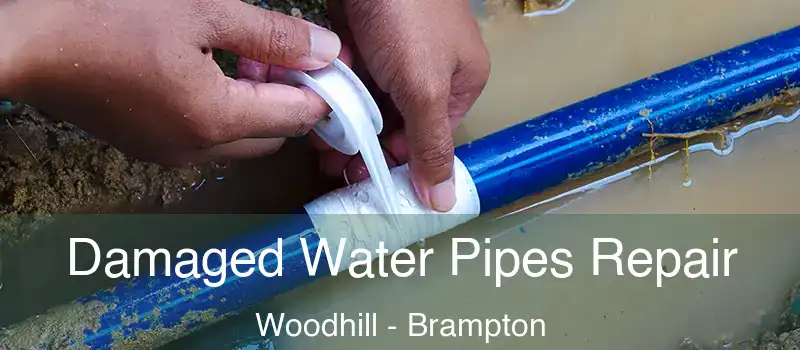  Damaged Water Pipes Repair Woodhill - Brampton