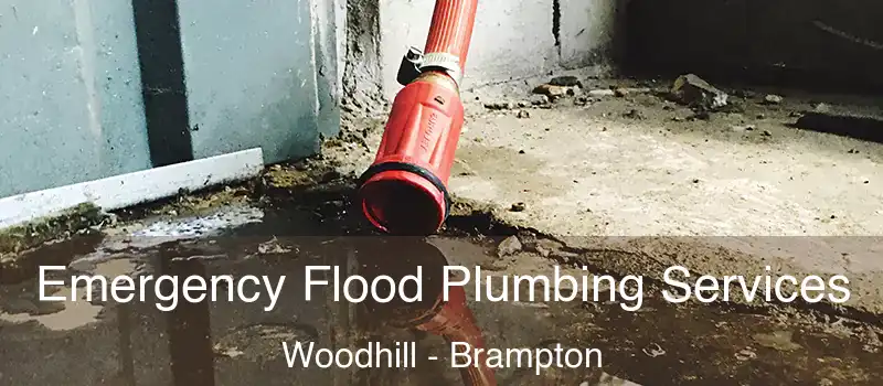  Emergency Flood Plumbing Services Woodhill - Brampton