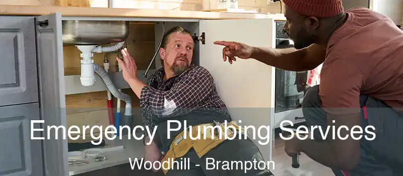  Emergency Plumbing Services Woodhill - Brampton