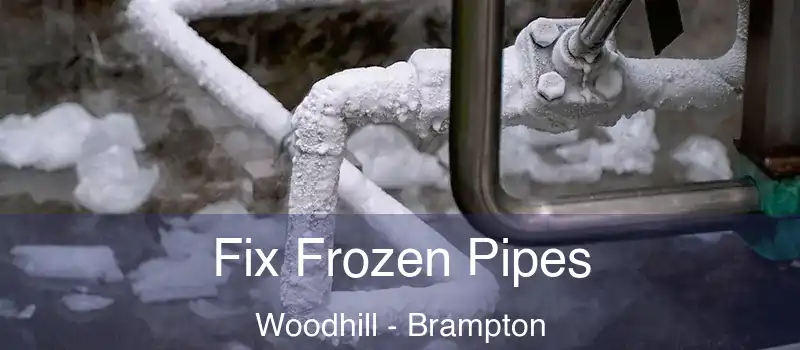  Fix Frozen Pipes Woodhill - Brampton