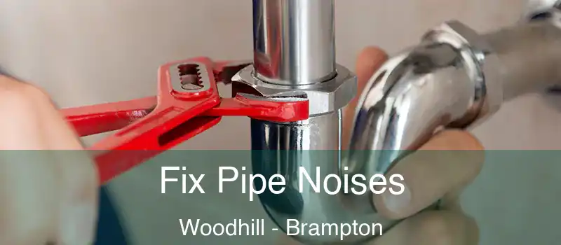  Fix Pipe Noises Woodhill - Brampton