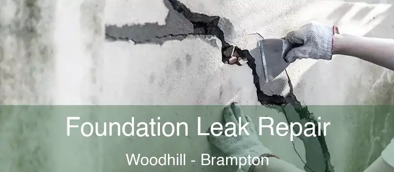  Foundation Leak Repair Woodhill - Brampton