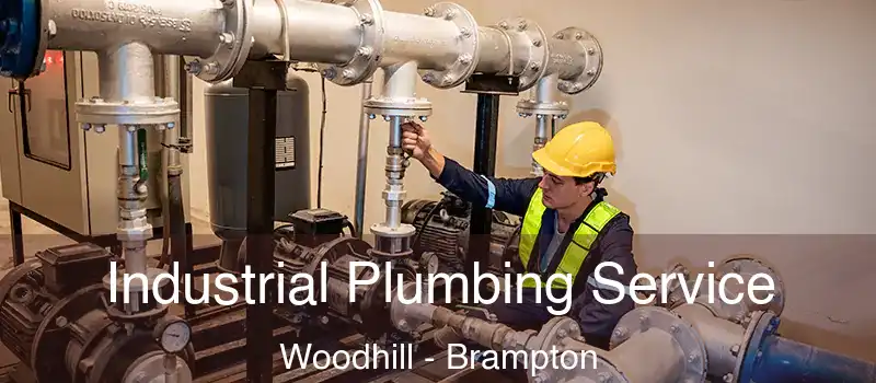  Industrial Plumbing Service Woodhill - Brampton
