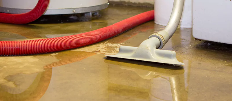 Professional Sewer Backup Cleanup Services in Woodhill, Brampton