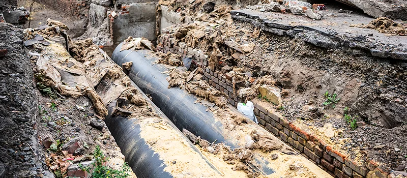 Commercial Sewer Tree Roots Damage Solutions in Woodhill, Brampton