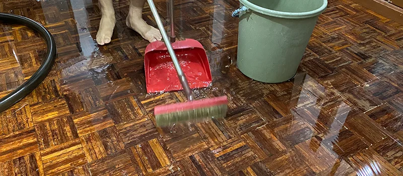 Water Removal And Restoration Services in Woodhill, Brampton