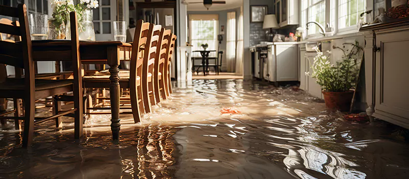 Flooded House Help Near Me in Woodhill, Brampton