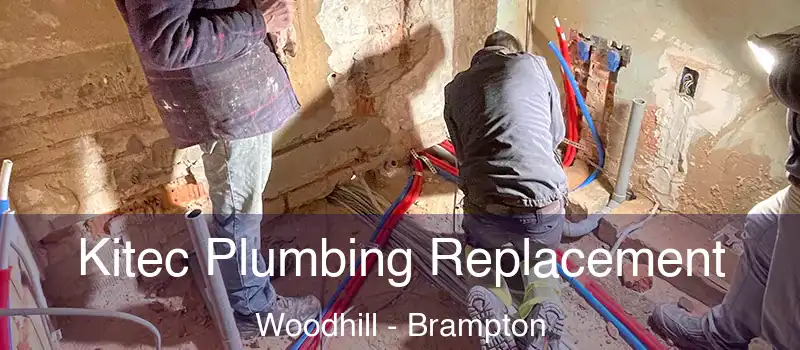 Kitec Plumbing Replacement Woodhill - Brampton