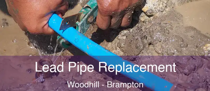  Lead Pipe Replacement Woodhill - Brampton