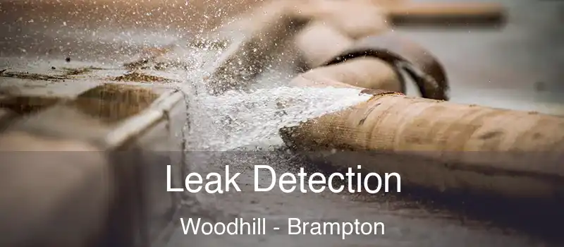  Leak Detection Woodhill - Brampton
