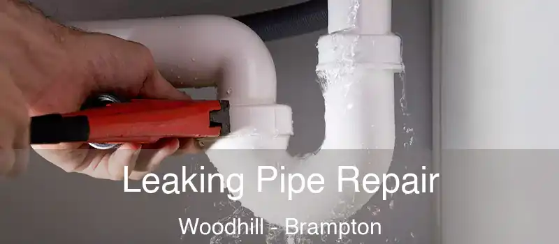  Leaking Pipe Repair Woodhill - Brampton