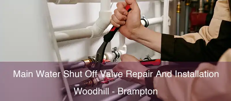  Main Water Shut Off Valve Repair And Installation Woodhill - Brampton
