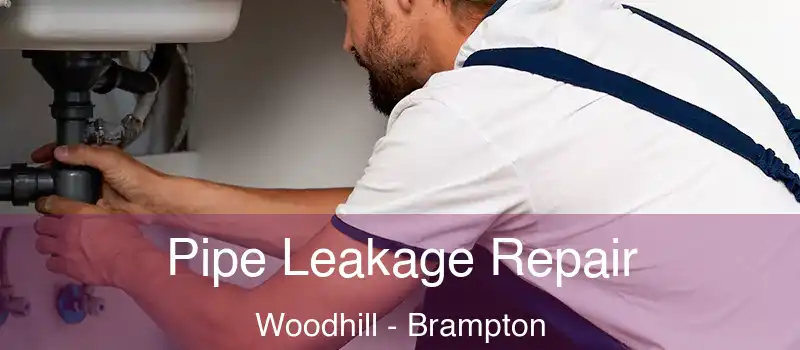  Pipe Leakage Repair Woodhill - Brampton