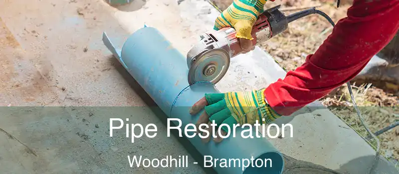  Pipe Restoration Woodhill - Brampton