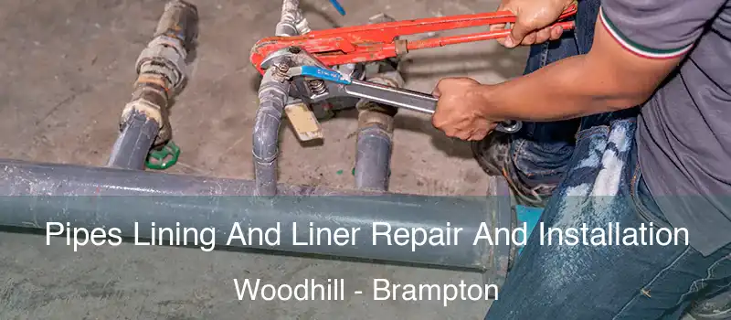  Pipes Lining And Liner Repair And Installation Woodhill - Brampton
