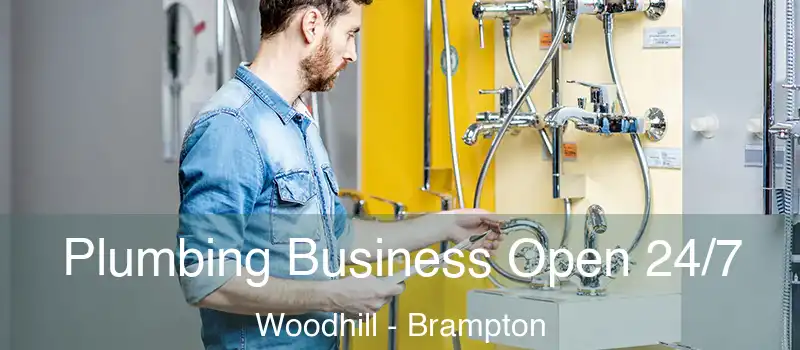  Plumbing Business Open 24/7 Woodhill - Brampton