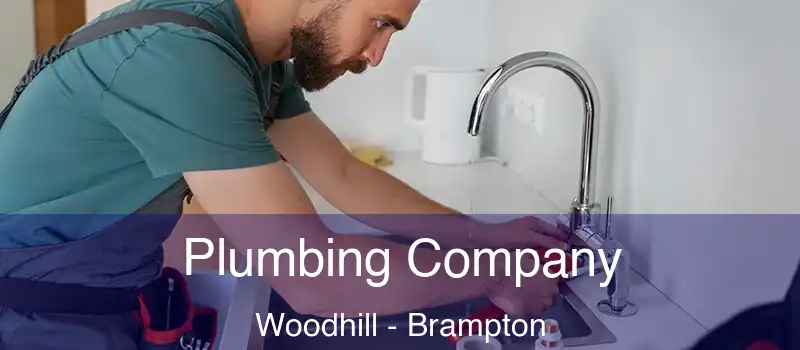  Plumbing Company Woodhill - Brampton
