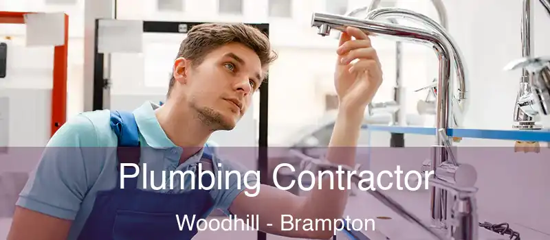  Plumbing Contractor Woodhill - Brampton