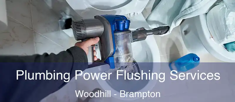 Plumbing Power Flushing Services Woodhill - Brampton