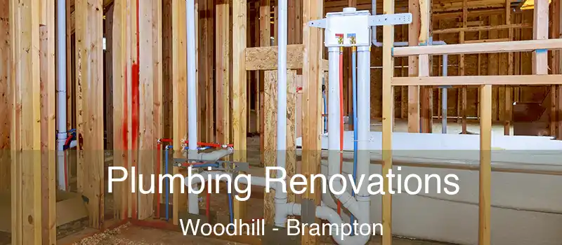  Plumbing Renovations Woodhill - Brampton