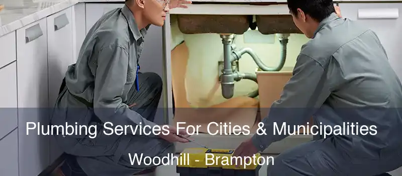  Plumbing Services For Cities & Municipalities Woodhill - Brampton