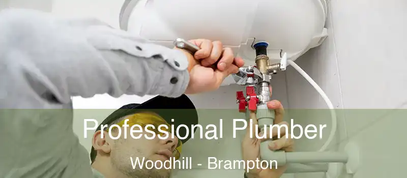  Professional Plumber Woodhill - Brampton