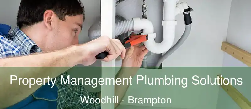  Property Management Plumbing Solutions Woodhill - Brampton