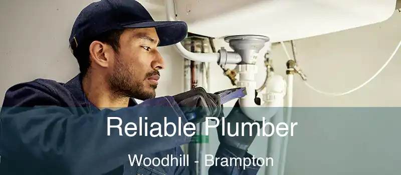  Reliable Plumber Woodhill - Brampton