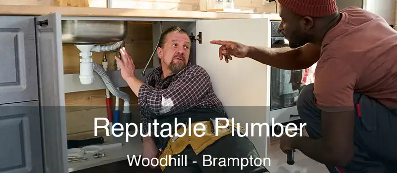  Reputable Plumber Woodhill - Brampton