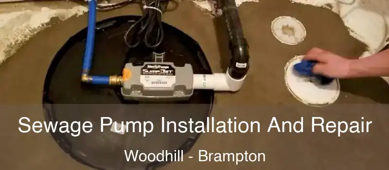  Sewage Pump Installation And Repair Woodhill - Brampton