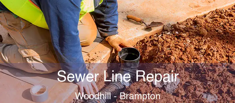 Sewer Line Repair Woodhill - Brampton