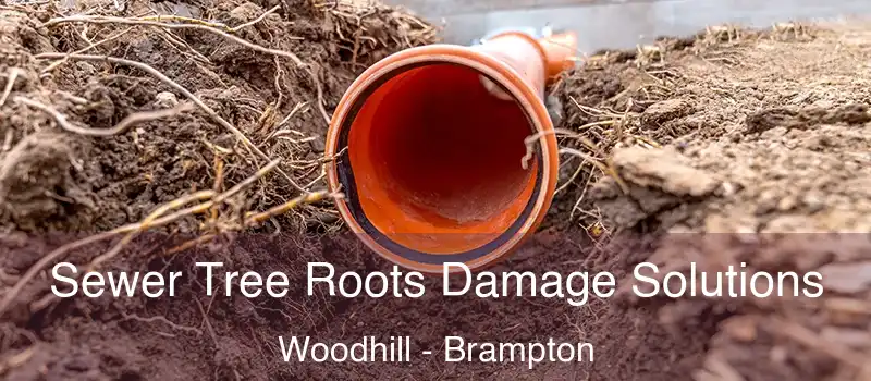 Sewer Tree Roots Damage Solutions Woodhill - Brampton