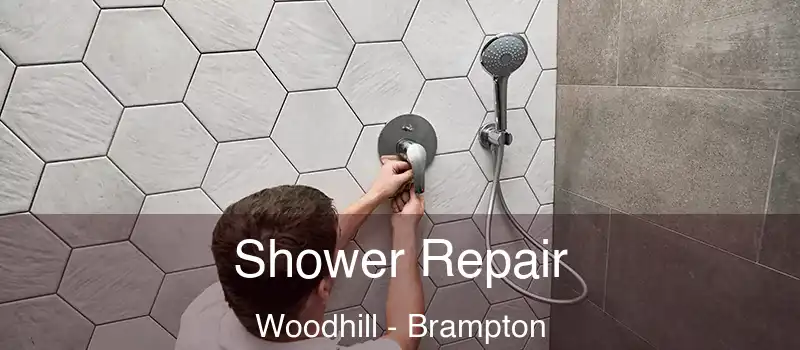  Shower Repair Woodhill - Brampton