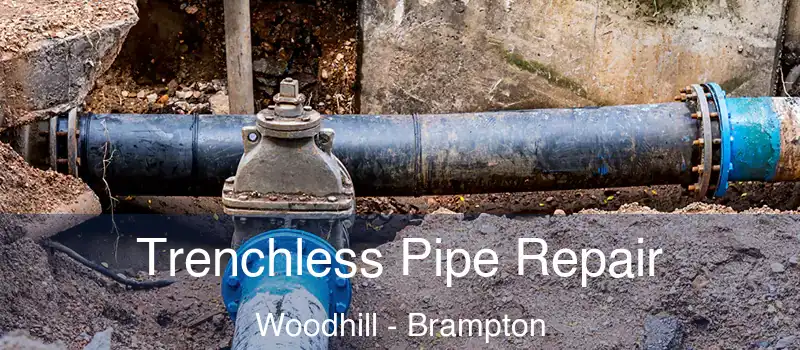  Trenchless Pipe Repair Woodhill - Brampton