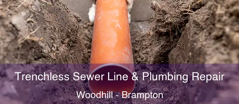  Trenchless Sewer Line & Plumbing Repair Woodhill - Brampton