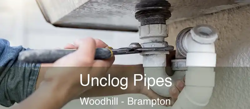  Unclog Pipes Woodhill - Brampton