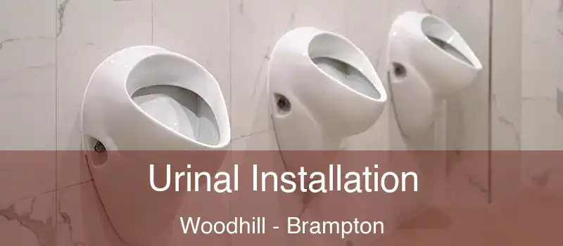  Urinal Installation Woodhill - Brampton