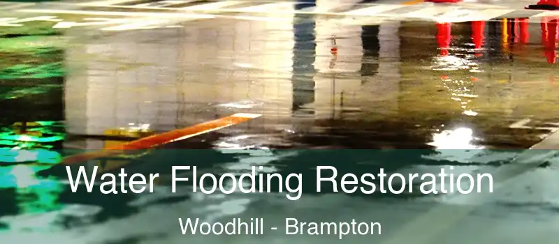  Water Flooding Restoration Woodhill - Brampton