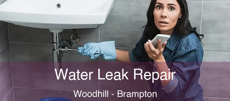  Water Leak Repair Woodhill - Brampton