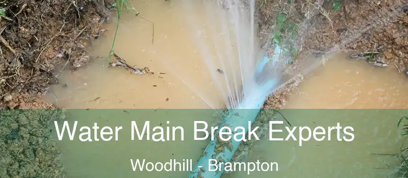  Water Main Break Experts Woodhill - Brampton