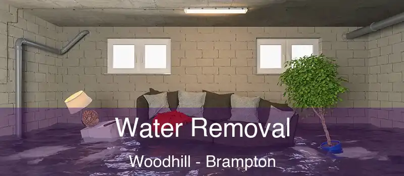  Water Removal Woodhill - Brampton